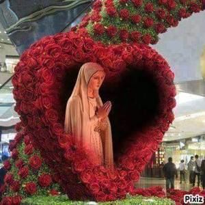 Meet your Posher, Manal